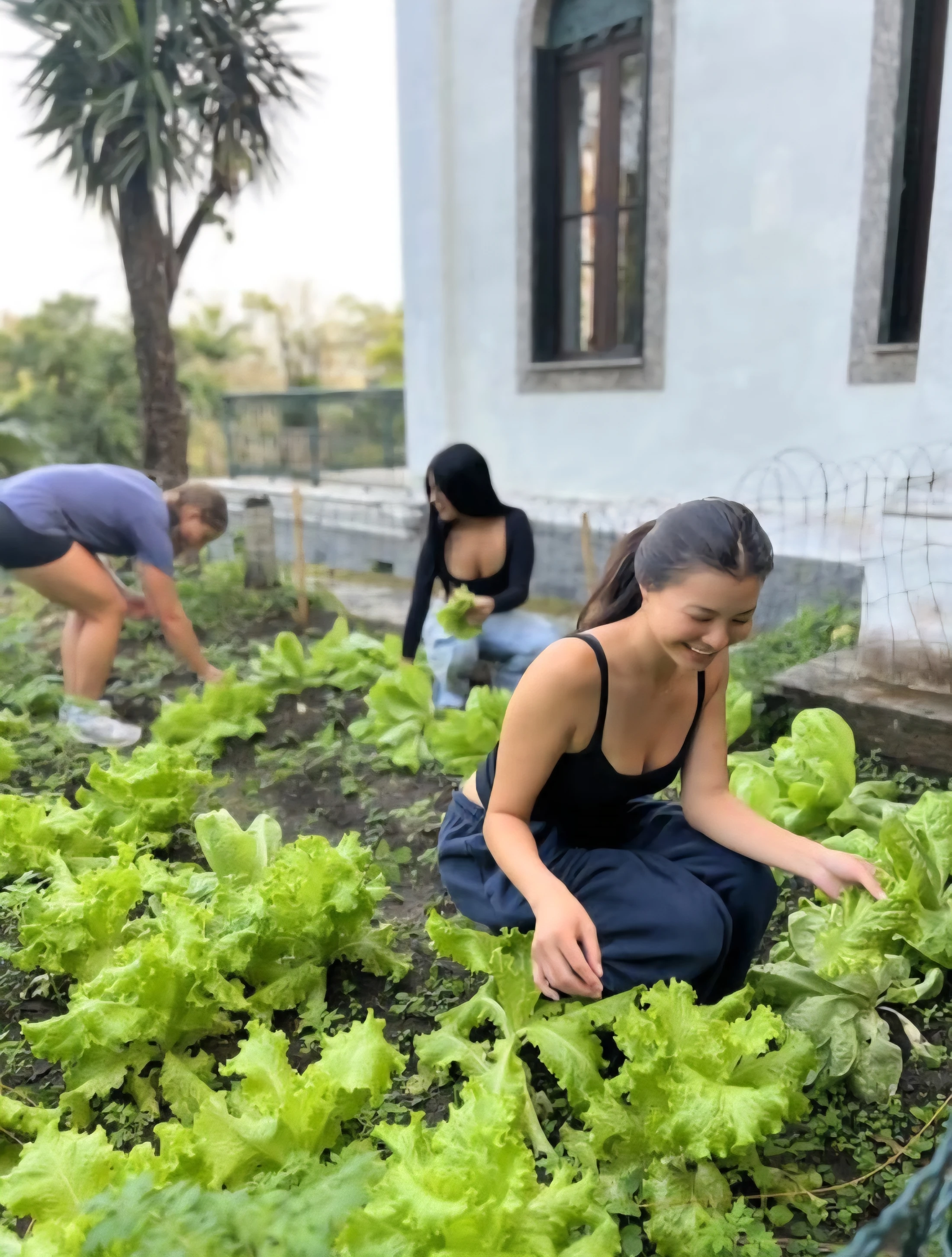 Hands in the garden